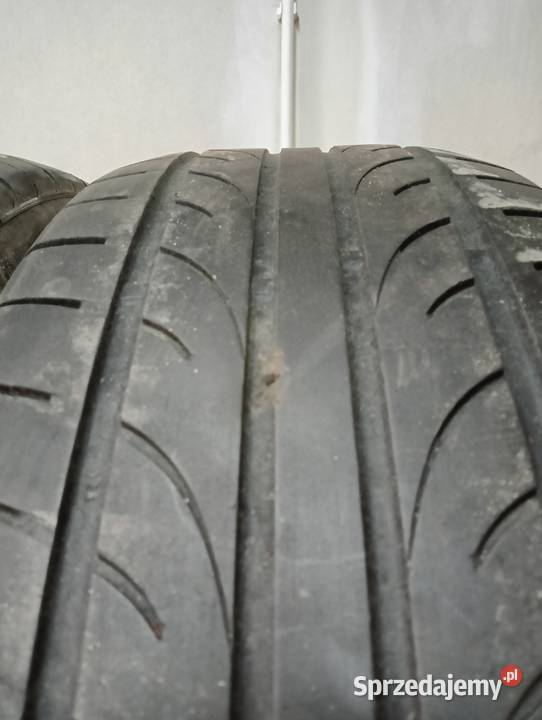 2756020 Lato Pozostałe