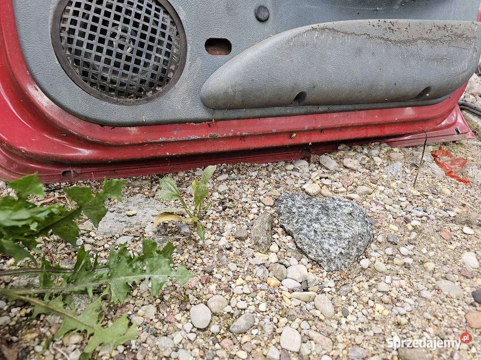 Drzwi renault megane 1 prawy przód Łagów