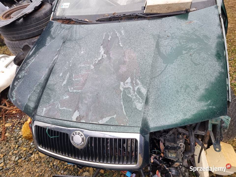 Skoda Fabia 1 Zielona Noebieska Białą Srebrna Skawina