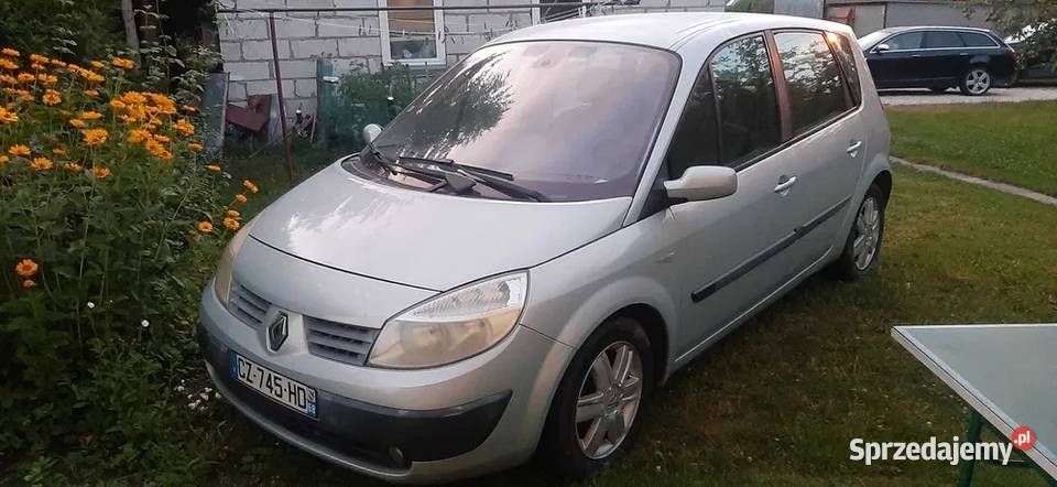 Renault Scenic Kolbuszowa