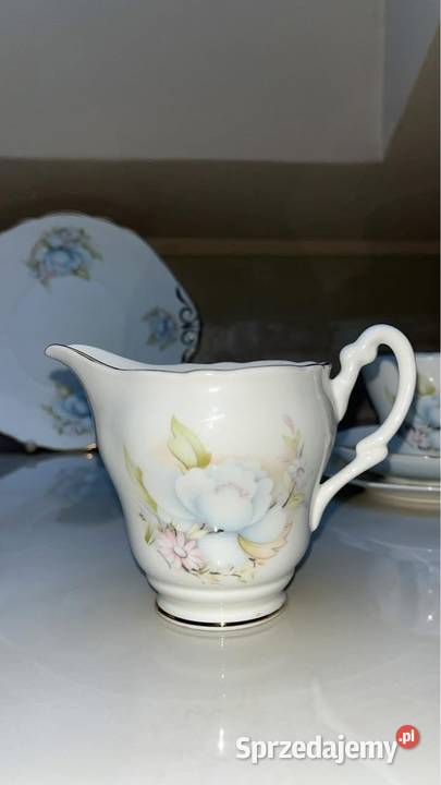 Mlecznik Montfort Staffordshire Biltons England Porcelana i szkło Gdańsk