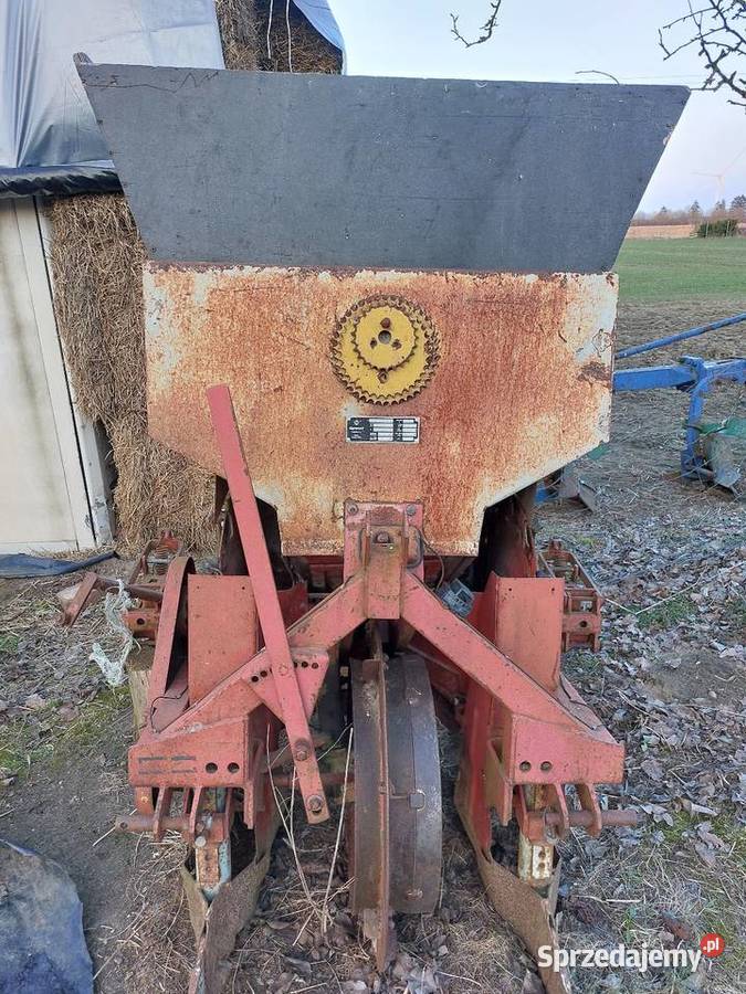 Sadzarka czeska Jastrowie