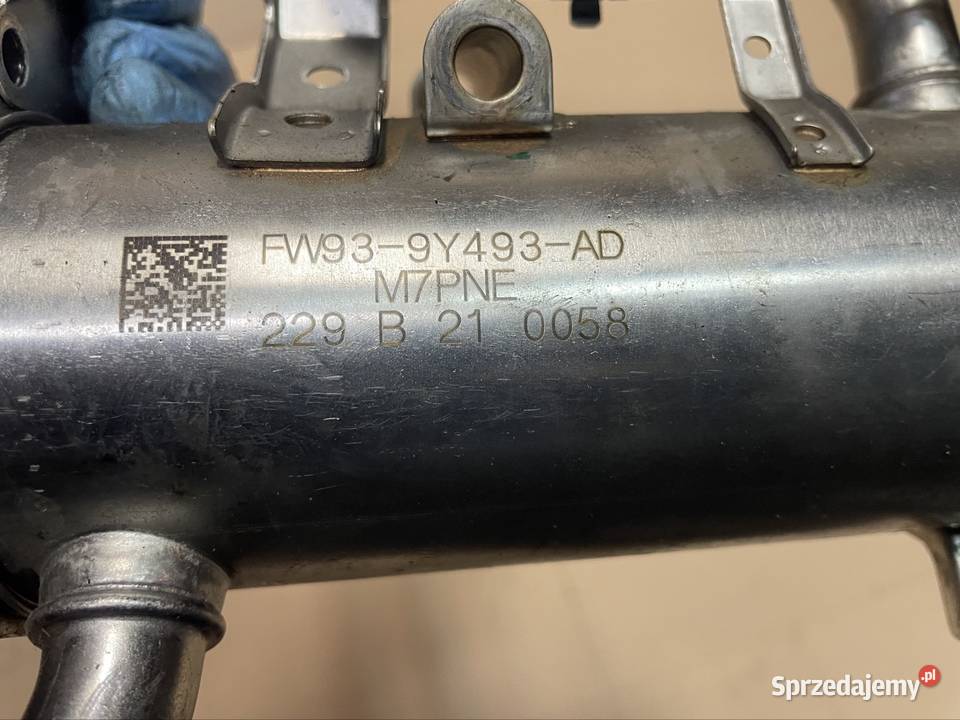 FW939Y493AD chłodnicza egr 30td Jaguar fpace osobowe Szczecin