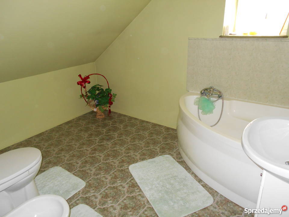 Dom z ogrodem lubelskie Radzyń Podlaski