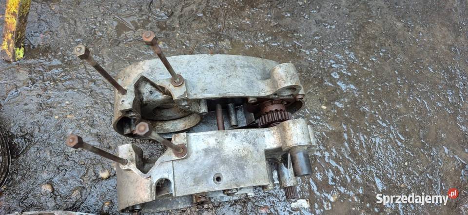 Komar Biała Podlaska