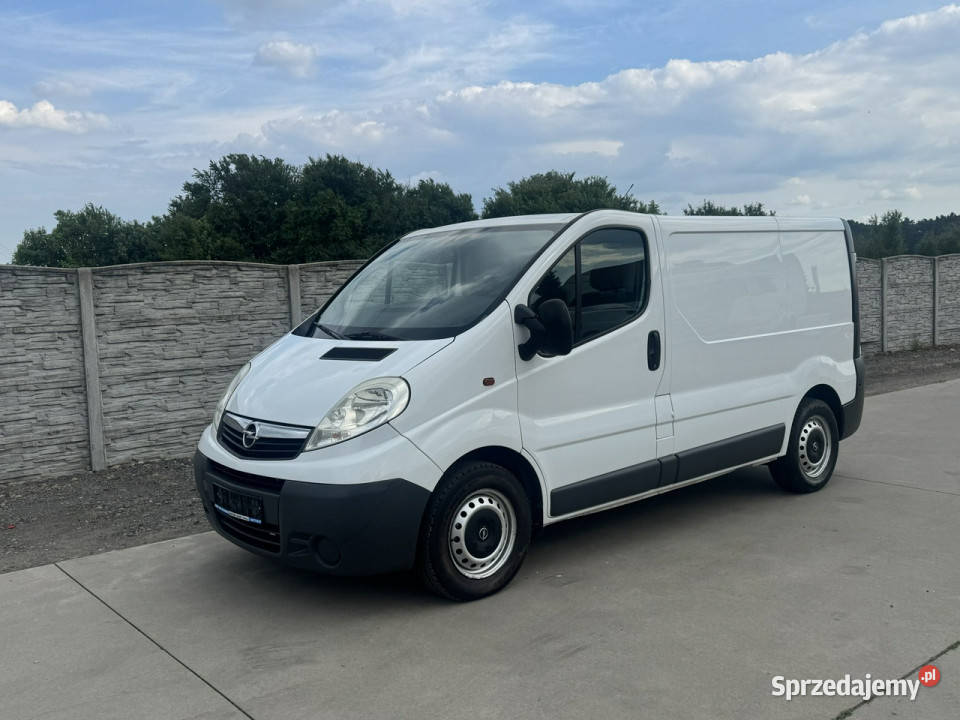 Opel Vivaro 20 Cdti L1H1 Karolinki