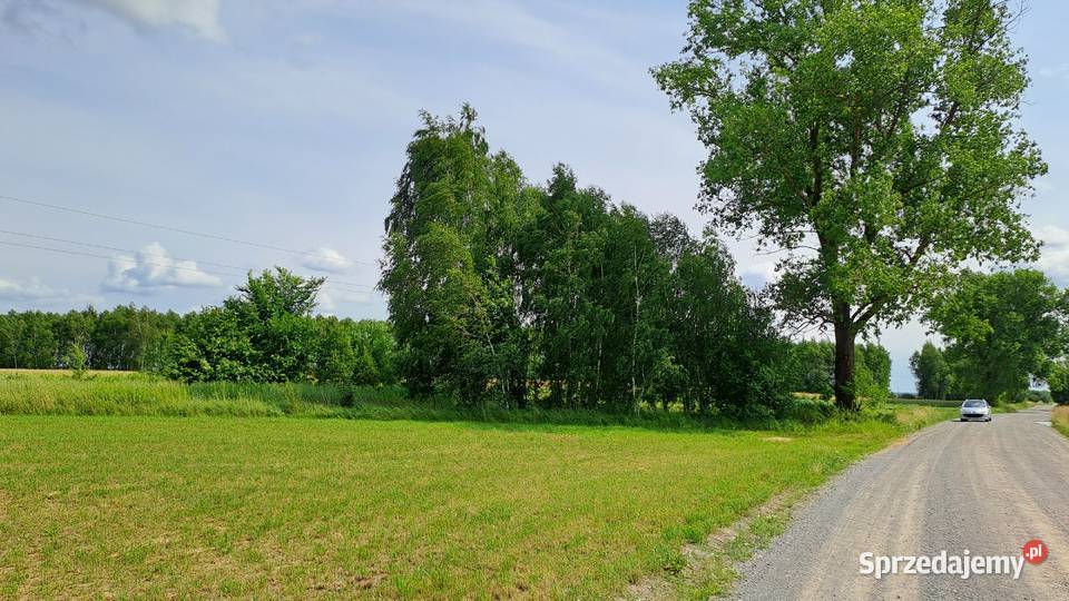 Działka rolna inwestycyjna rolna Przytoczno