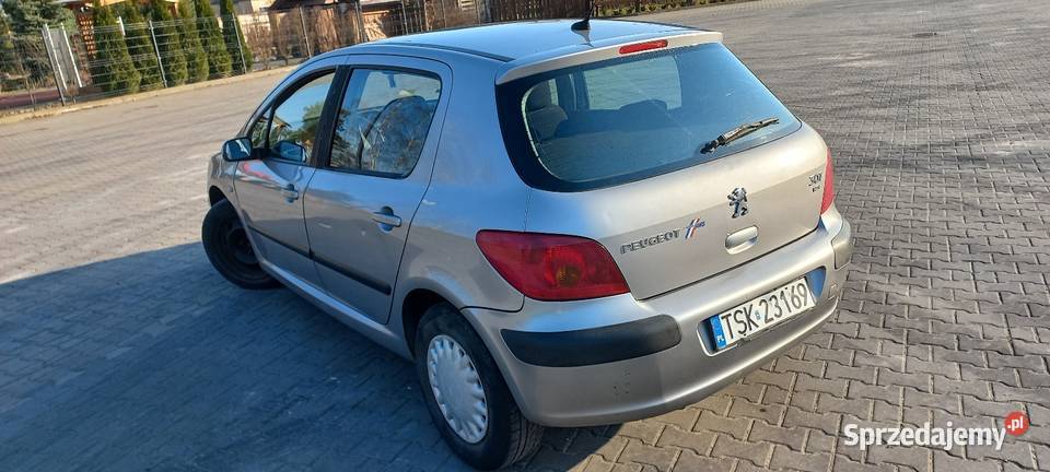 Peugeot 307 5D 20 HDI opłaty zadbany i b zwinny mazowieckie