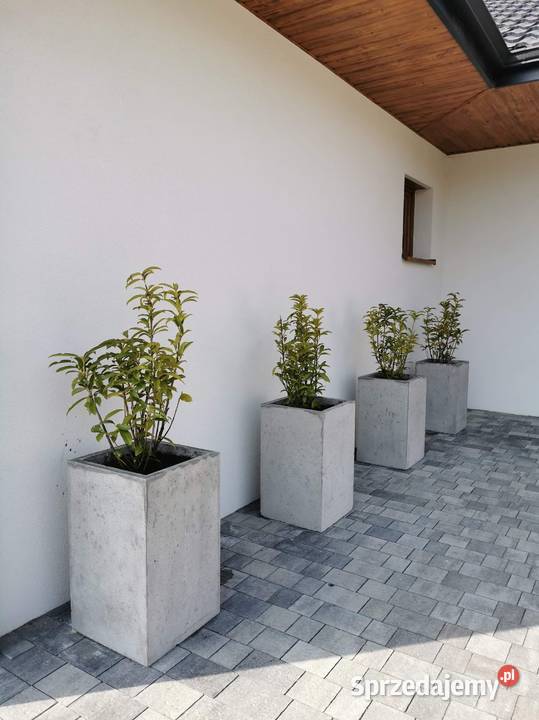Donica betonowa Ogrodowa arhitektoniczna Pogórska Wola sprzedam