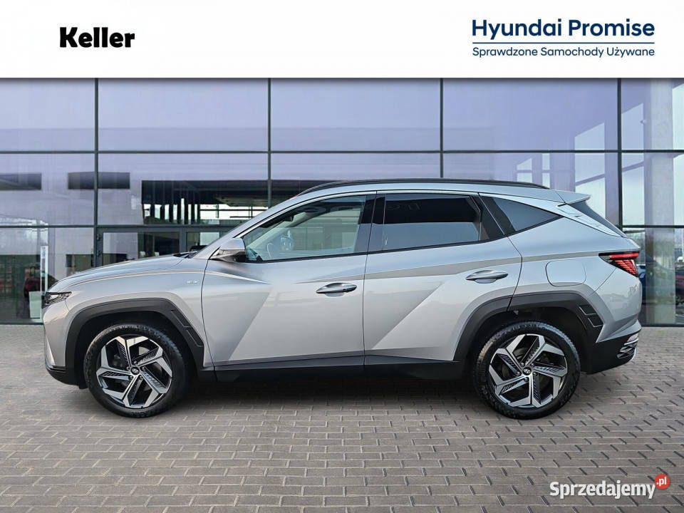 16 mHEV 150 Platinum FV23 Serwis ASO Dealer śląskie Gliwice