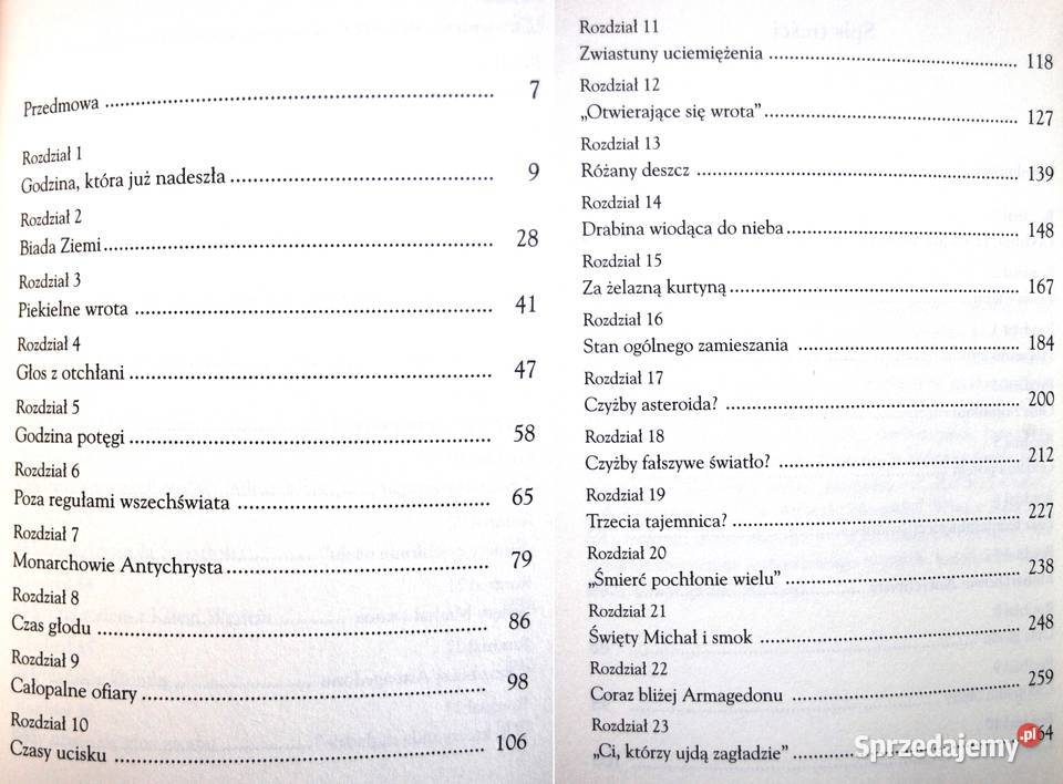 Michael H Brown Ostatnia godzina nowa Lublin