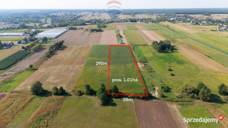 Duża działka z MPZP 1 ha Rębków utwardzona mazowieckie sprzedam