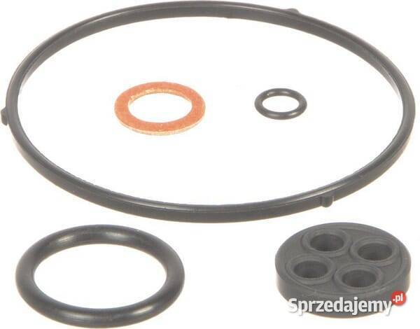Zestaw uszczelek 16010ZG0812 Kamionna