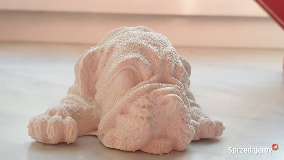 Pies z gipsu Łódź sprzedam