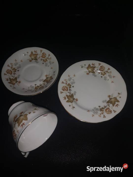 Filiżanka z talerzykiem Cocclough Jesienne Gdańsk