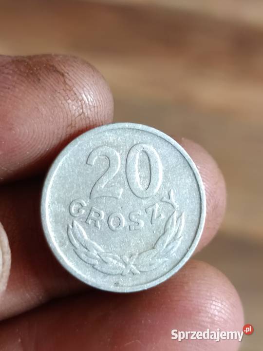 Sprzedam monete 20 groszy 1965 r ttt Chełm