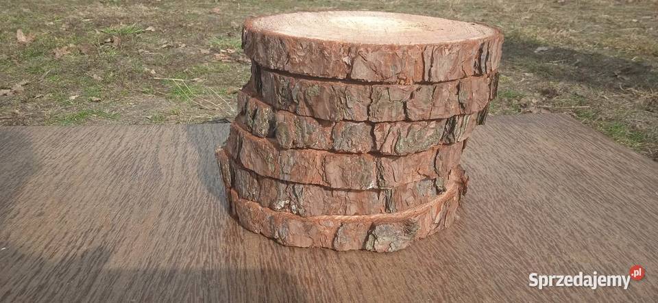 Plastry drewna 20sztuk 2025 dekoracje na stroiki Warszawa