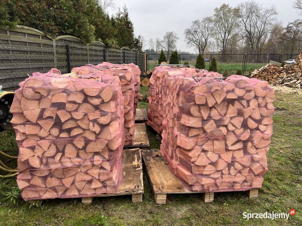 Dąb drzewo opalowekominkowe transport Wołomin