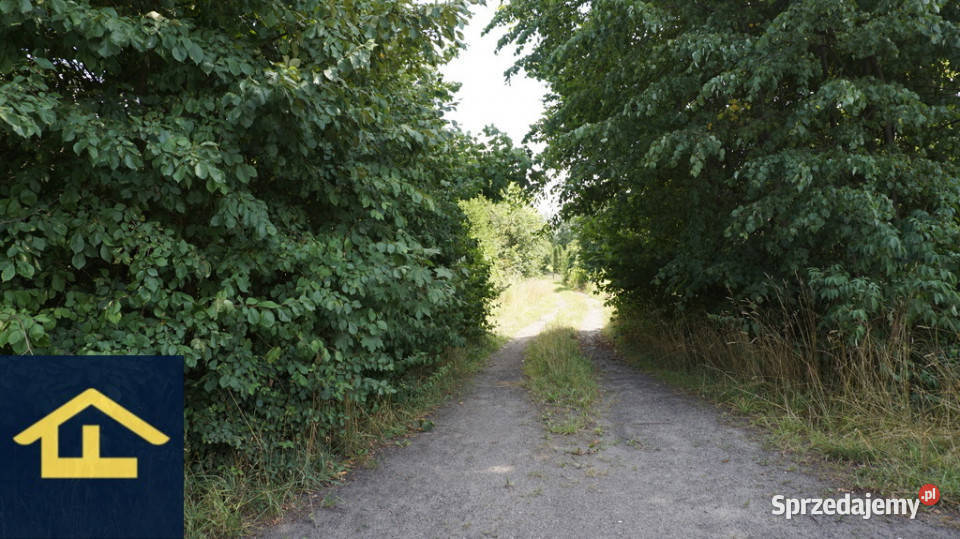 Działka gruntowa w Otwocku Wielkim pałacem Otwock Wielki
