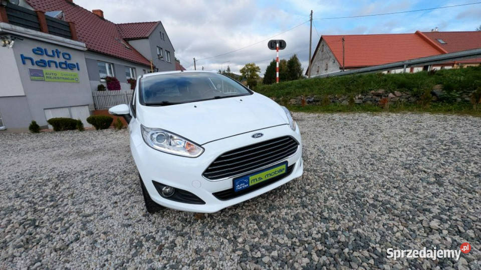 Ford Fiesta 125 benzyna Mk7 2008 Kamienna Góra