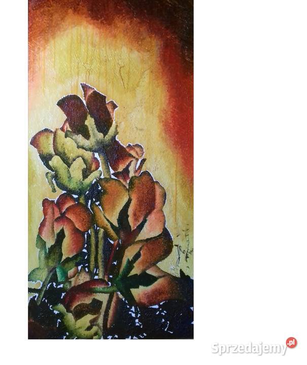 Archidiecezjalne Piwonie Jarosław