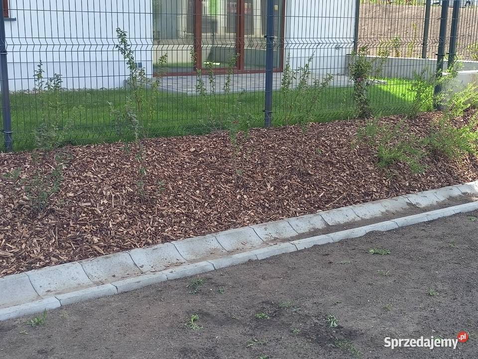 Zrębki Zrębka Leśna na podsypkę kompostowa pomorskie Chmielno