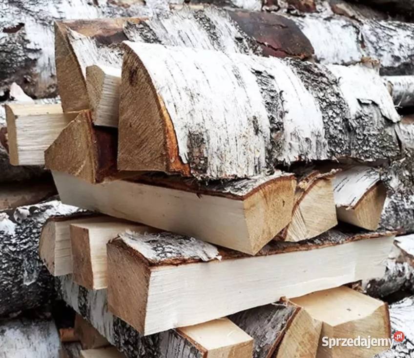 Różne rodzaje drewna opałowegokominkowego Opał