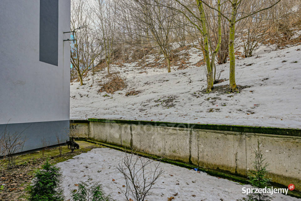 Mieszkanie Gdynia 2589m2 1 pokój Sprzedaż