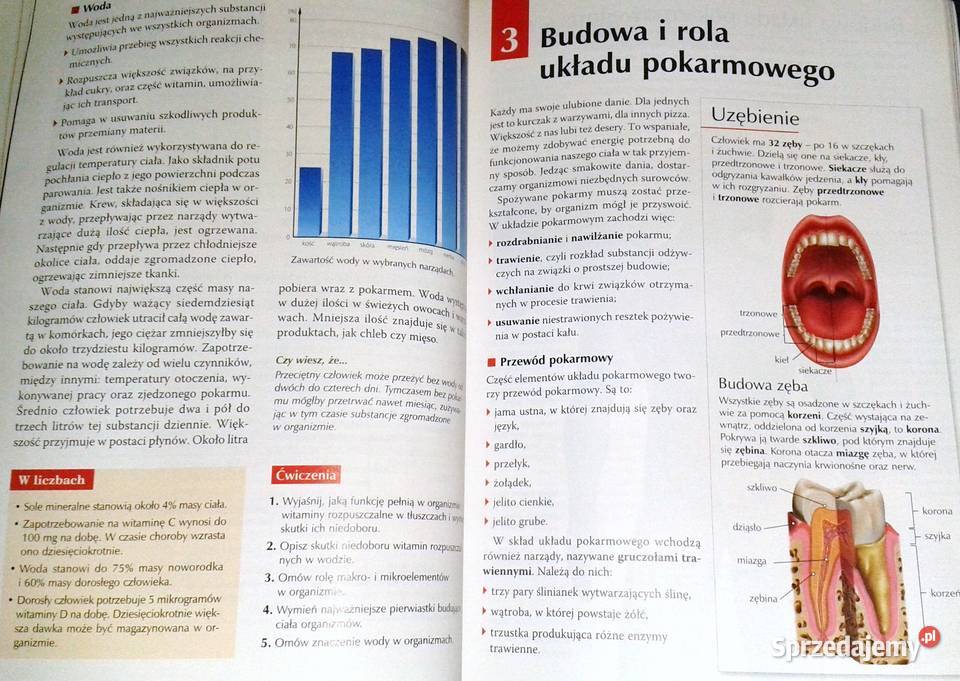 Puls Zycia 2 Uklad Pokarmowy Sprawdzian Chomikuj sprzedajemy.pl