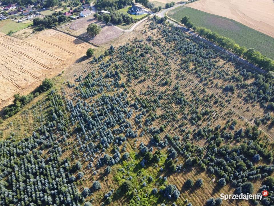 Działka budowlana Sprzedaż dolnośląskie Góry