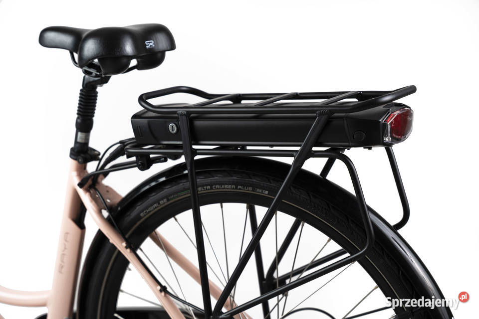 Rower elektryczny NEON Bikes Raya ACTIVE ZONE świętokrzyskie