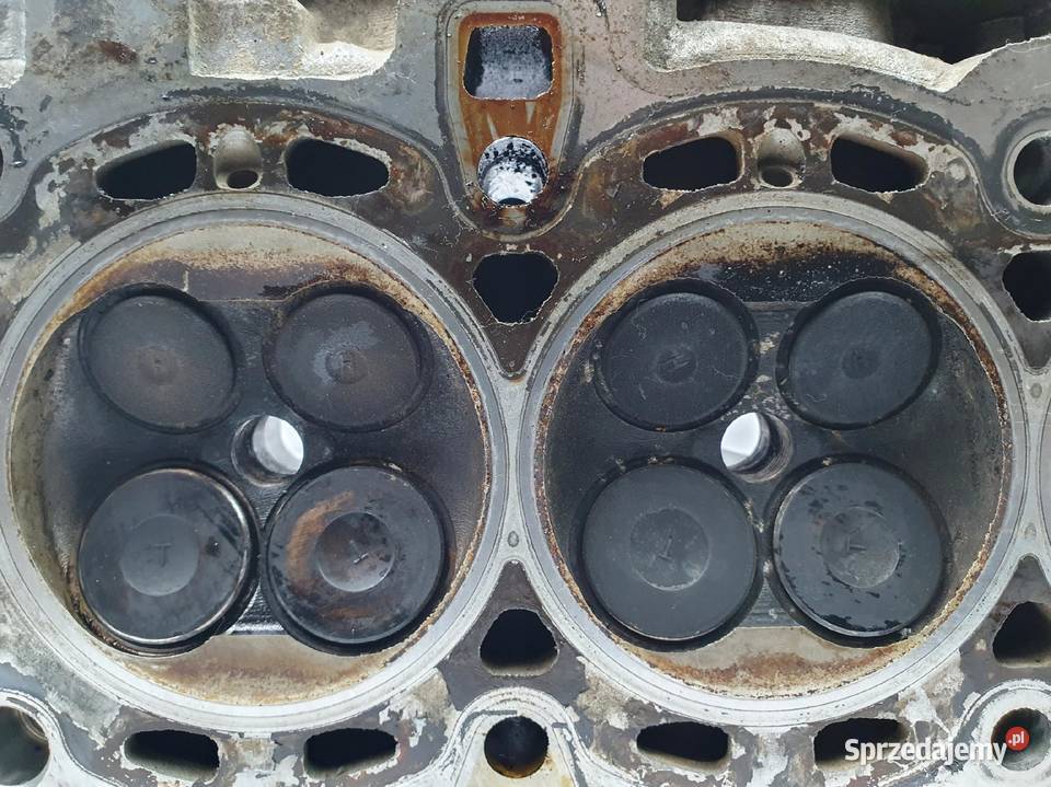 GŁOWICA CYLINDRÓW Ford Focus MK1 16 16V Chełm