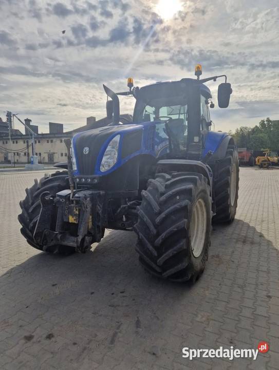 Holland dolnośląskie Jelenia Góra sprzedam