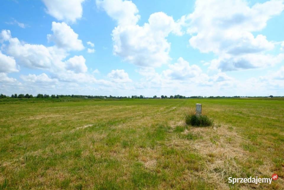 Podkampinos 3000m2 WZ do KPN sprzedam