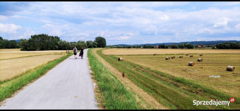 Sprzedam zamienię działkę Małopolska Zakliczyn Sprzedaż