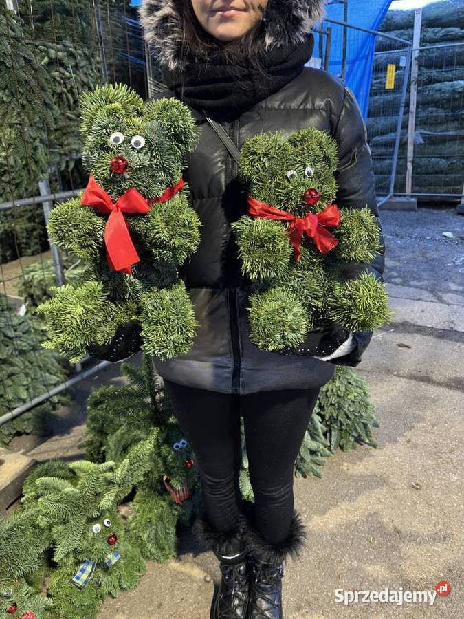 Niedźwiadki misie z jodły nobilis Myślenice