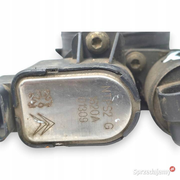 PRZEPUSTNICA Peugeot 206 307 14 8V NTPS2 SOLEX osobowe Chełm