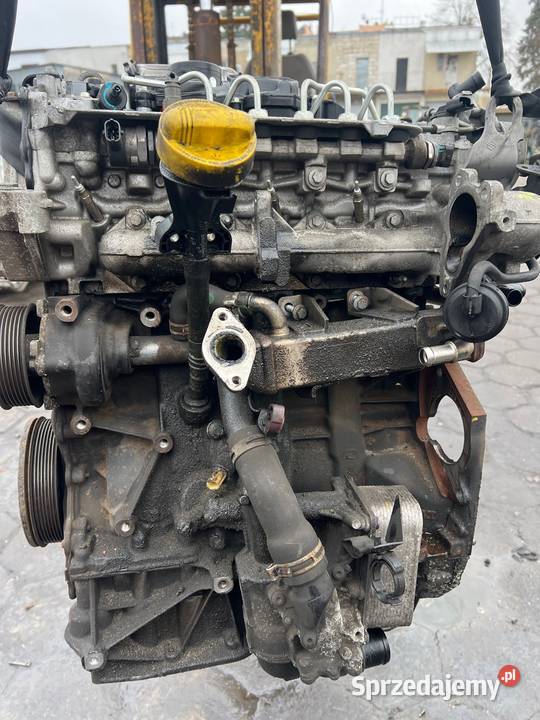 Silnik 20 Dci Nissan qashkai Renault Latitude Blok silnika Radzyń Podlaski