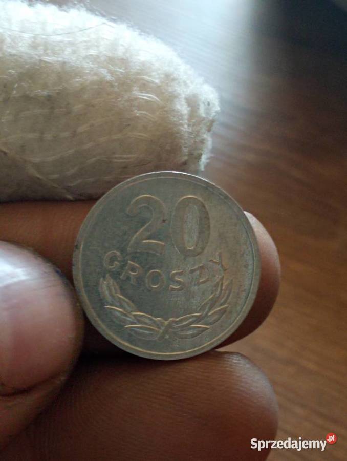 Sprzedam 20 gr 1981 r zzm Chełm