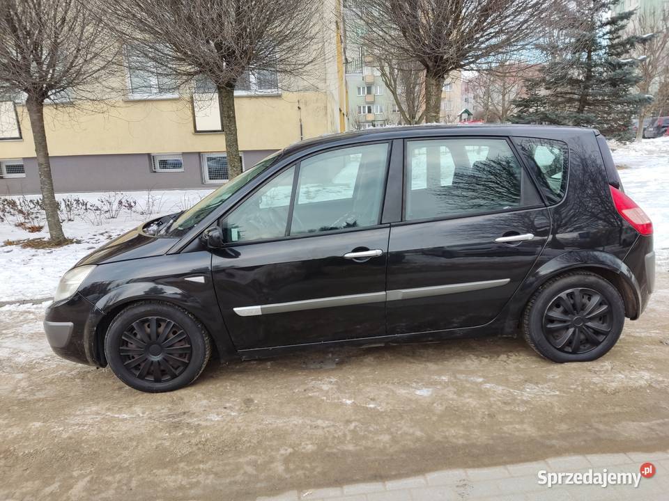 Ekonomiczny tani jeżdżący długie opłaty Renault Elbląg