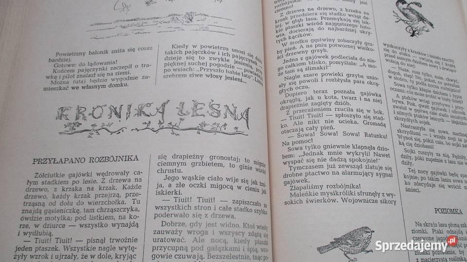 Leśna GazetaWitali Bianki przyroda las 1953 Książki dla dzieci Łódź