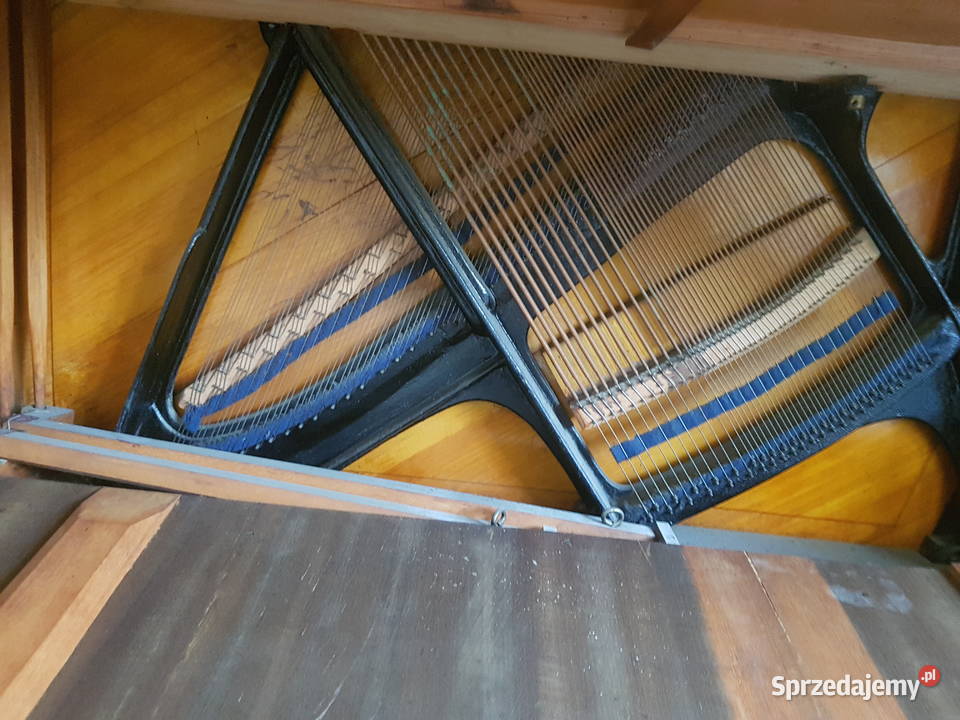 Pianino Ed Seiler Białystok