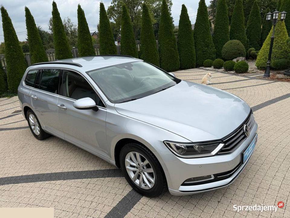 VW Passat 14 TSI ACT Comfortline 150 2019r Krotoszyn