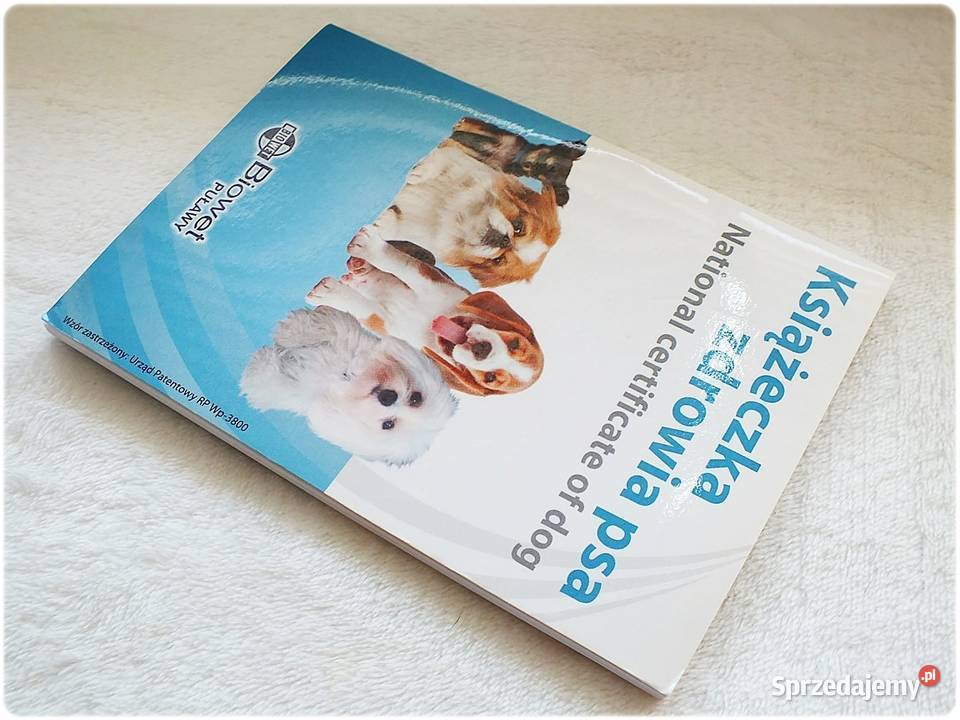 Książeczka Zdrowia Psa małej rasy mix ras Nowa Lubsko sprzedam