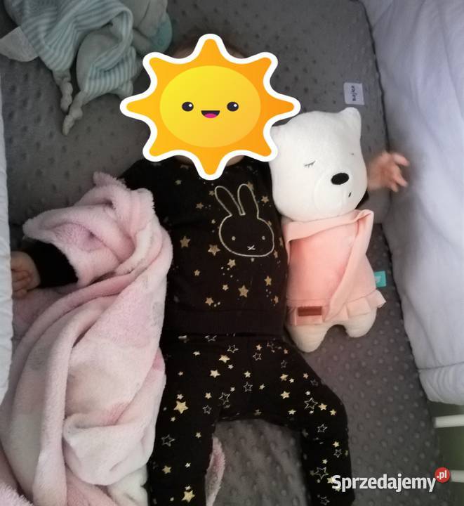 Swetr CA 62 NijntjeMiffy śląskie