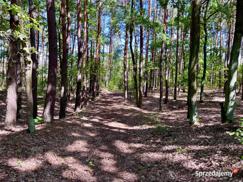 Działka rolnoleśna na sprzedaż 23766 ha Mariew rolna