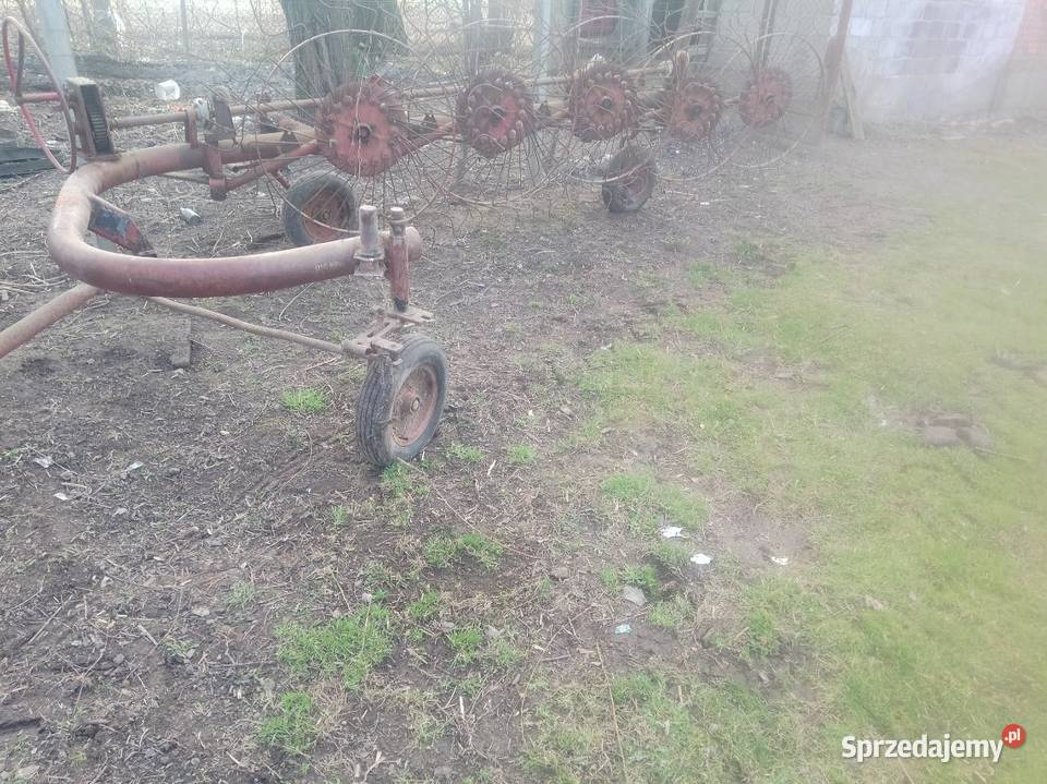 Zagrabiarka pięciogwiazdowa Gniazdowice