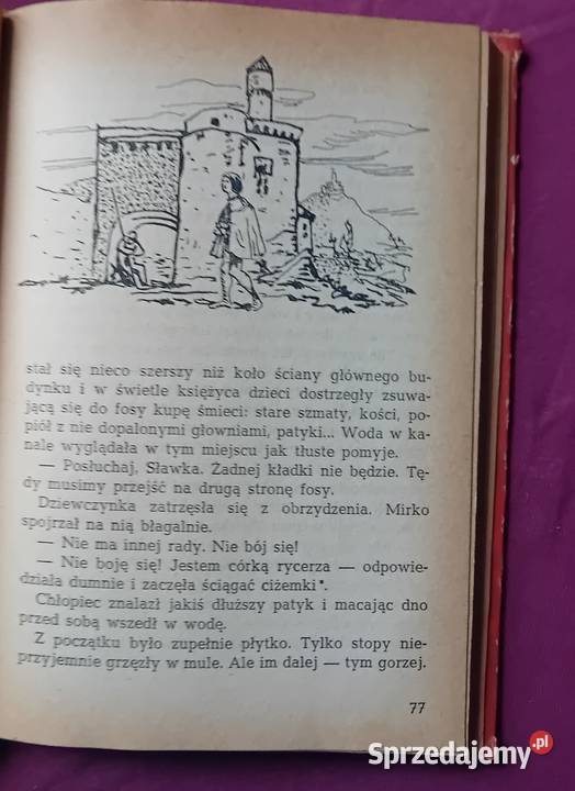 Jadwiga i Anna Chamiec Gniewko z Turoboi Wyd I