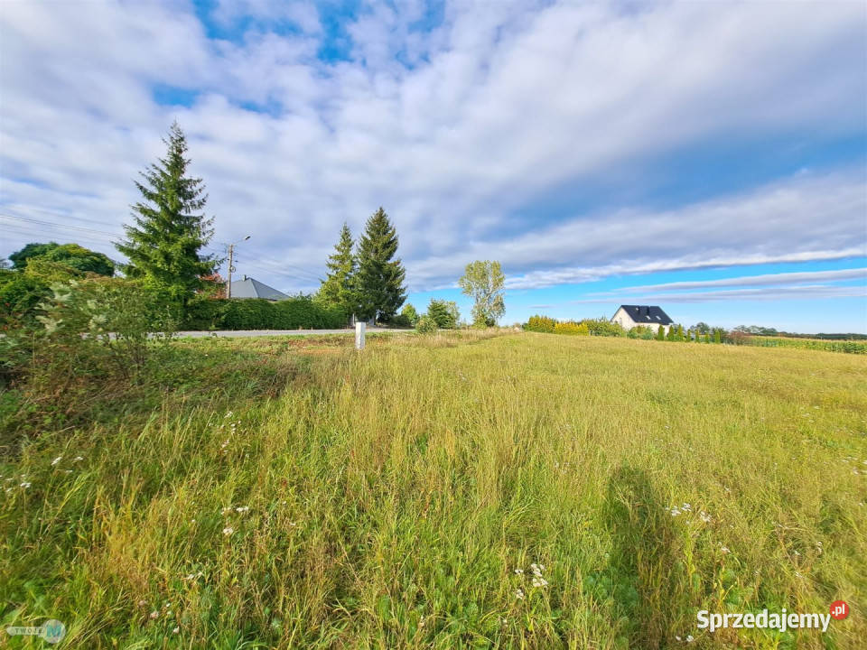 Ogłoszenie działka Pierzchnica 6600m2