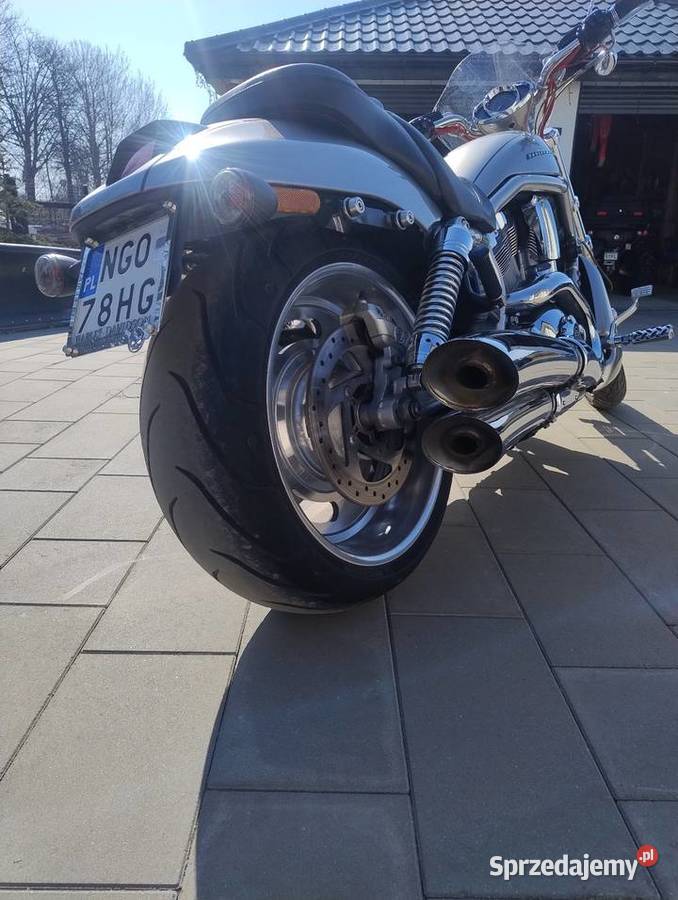 Harley Davidson vrod Gołdap